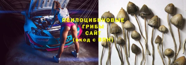 прущие крисы Нягань