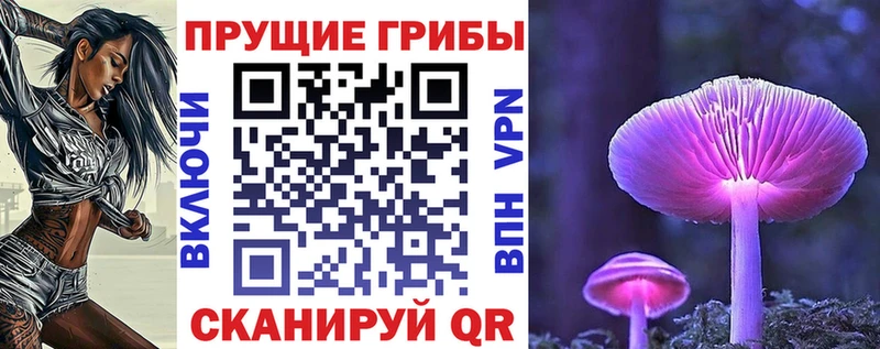 Галлюциногенные грибы GOLDEN TEACHER Приморско-Ахтарск