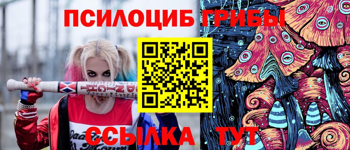 Галлюциногенные грибы Psilocybe Приморско-Ахтарск