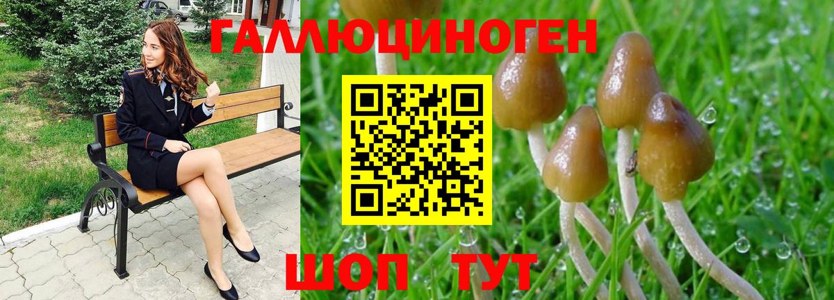 Приморско-Ахтарск  Псилоцибиновые грибы ЛСД  Вход с VPN 